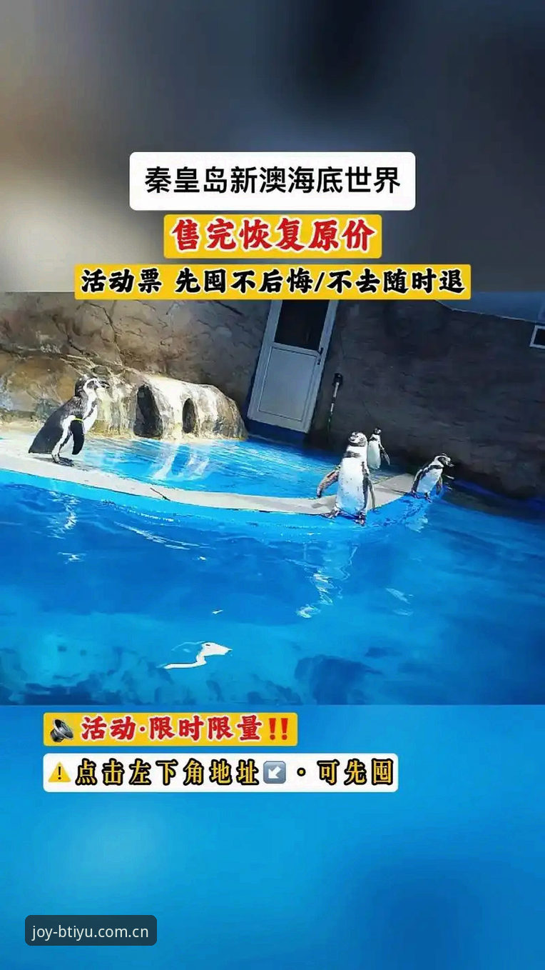 b体育极致版怎么样 b体育平台入口最新动态:极致版v2.2.0体验升级,用户反馈与解决方案全解析